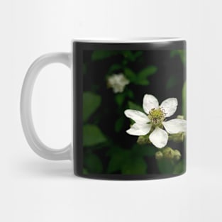 Blossoming white flower, close up photography Mug